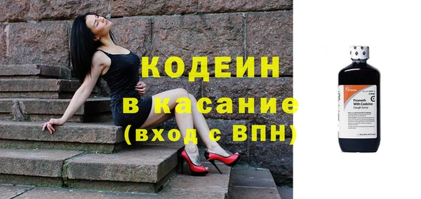 индика Новокубанск