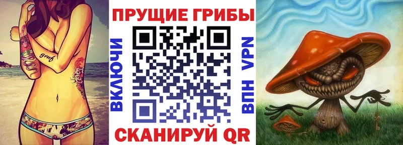 Галлюциногенные грибы Cubensis  ссылка на мегу как войти  Белая Холуница 