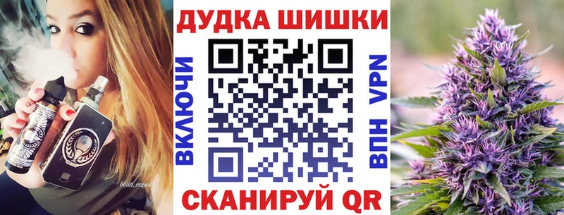 как найти закладки  Белая Холуница  Конопля сатива 